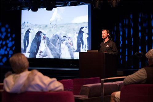 BBC Earth Experiences de Holland. SoloCruceros.com