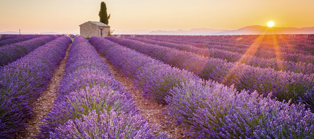 Cruceros por el Mediterráneo desde Marsella, Francia. CrucerosMediterraneo.com Cruceros por el Mediterráneo desde Marsella, Francia. CrucerosMediterraneo.com